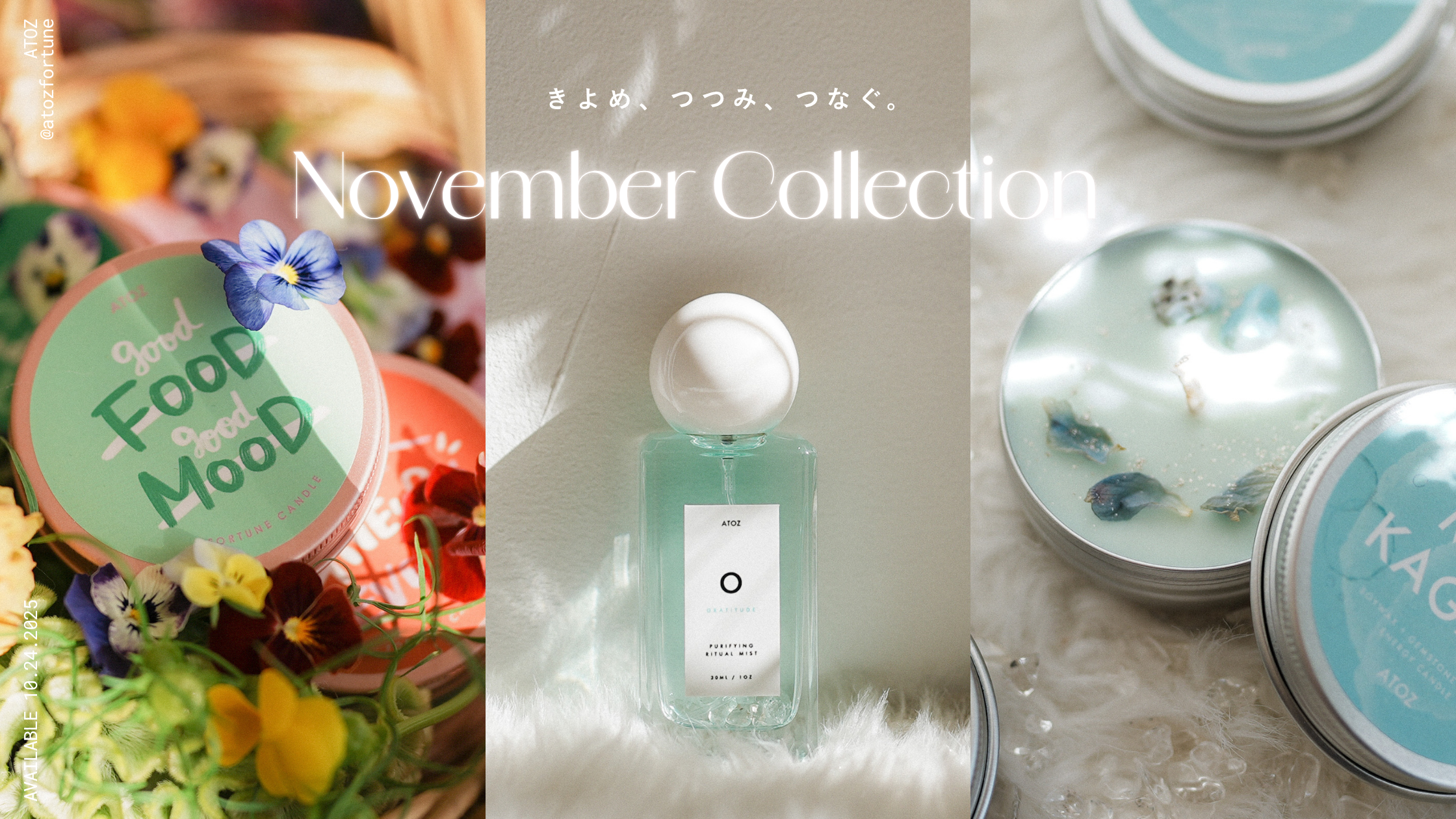 11月のコレクションが揃いました🕊️
