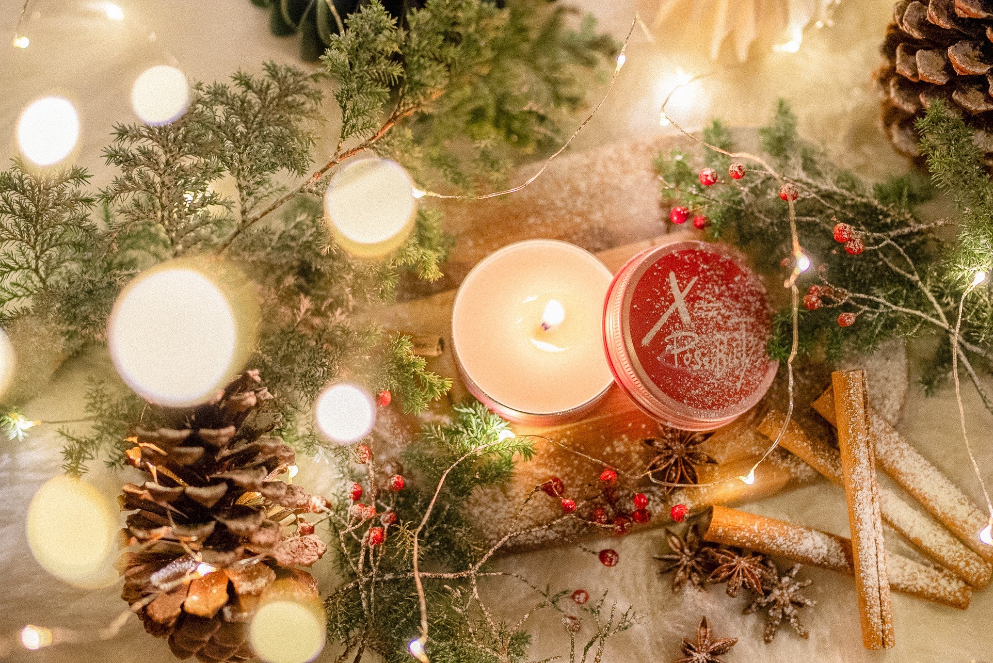 12月のおすすめコレクション🎄