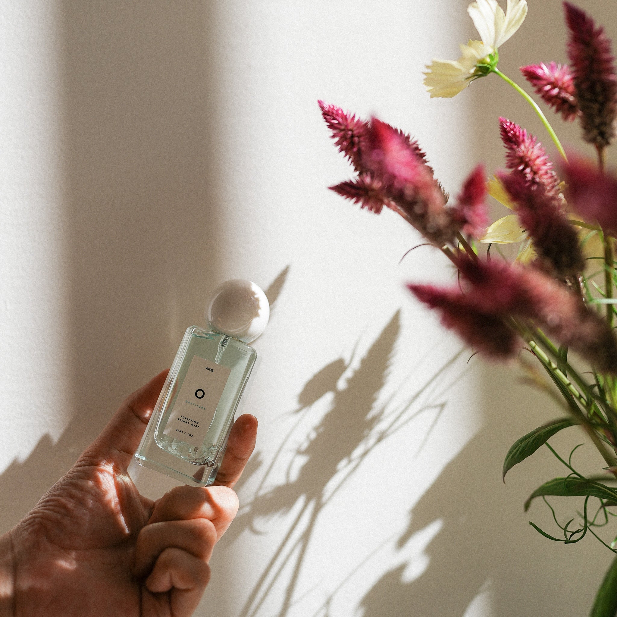 11月のおすすめコレクション🌕