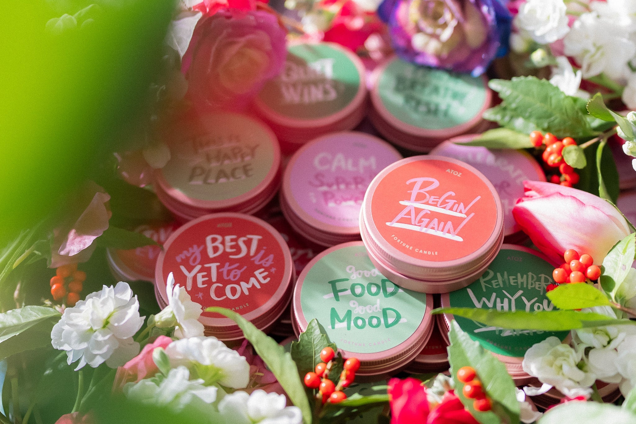 2026年1月のおすすめコレクション❄️