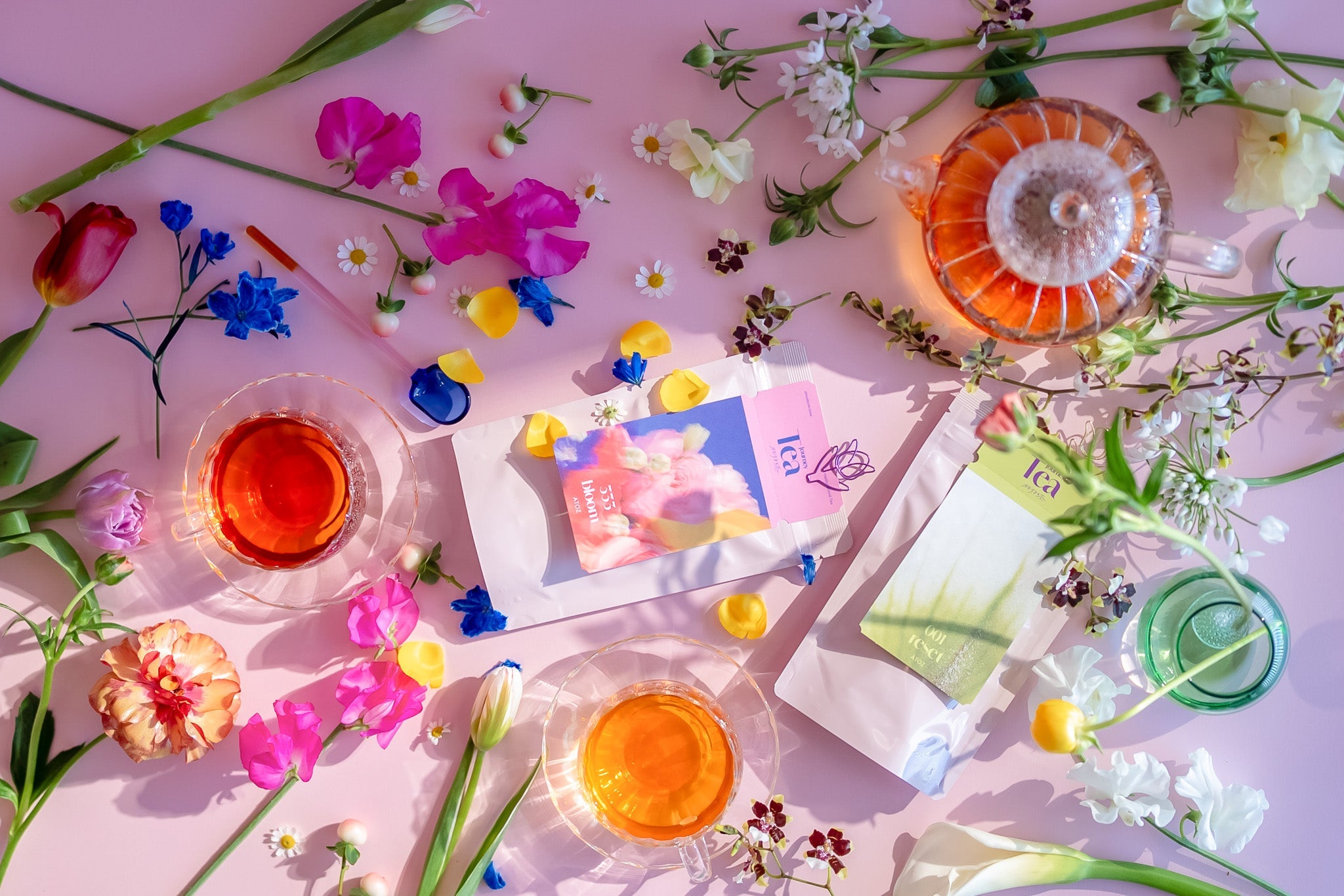 ３月のおすすめコレクション💐