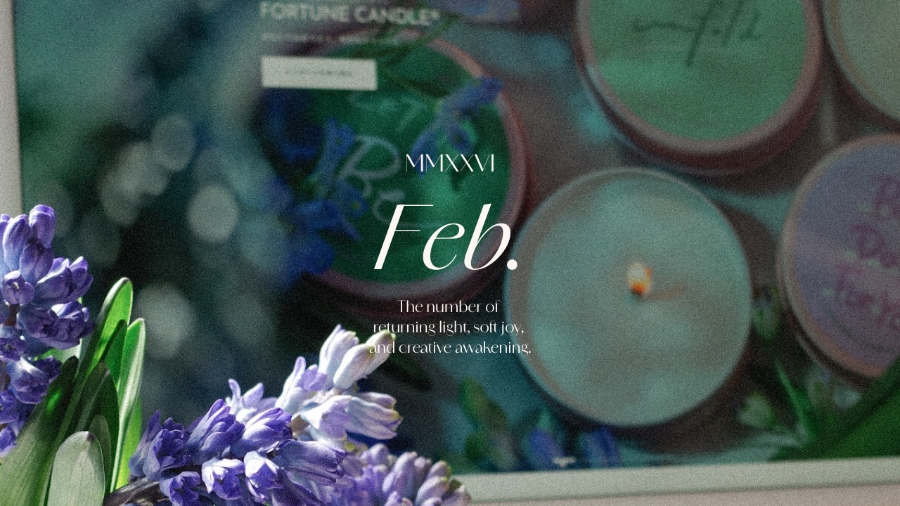 ２月のおすすめコレクション🪻