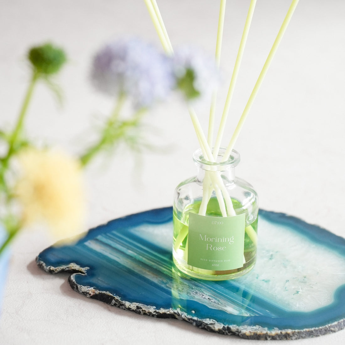 AGATE SLICE & DIFFUSER SET / アゲートスライスとディフューザーのセット
