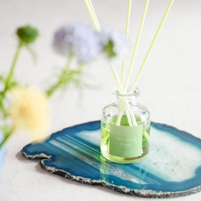 AGATE SLICE &amp; DIFFUSER SET / アゲートスライスとディフューザーのセット