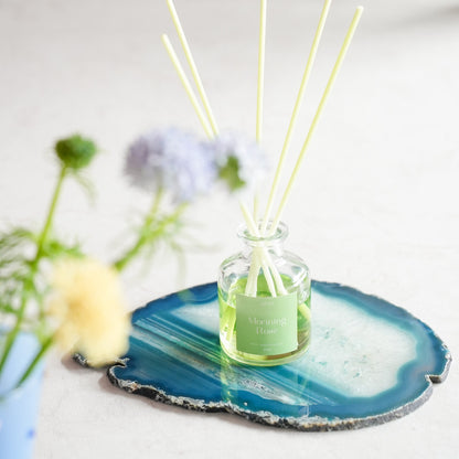AGATE SLICE &amp; DIFFUSER SET / アゲートスライスとディフューザーのセット