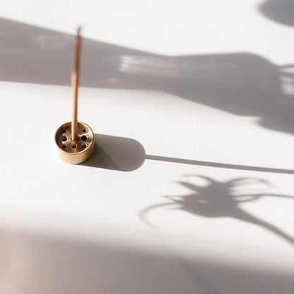 はじめてのパロサントセット