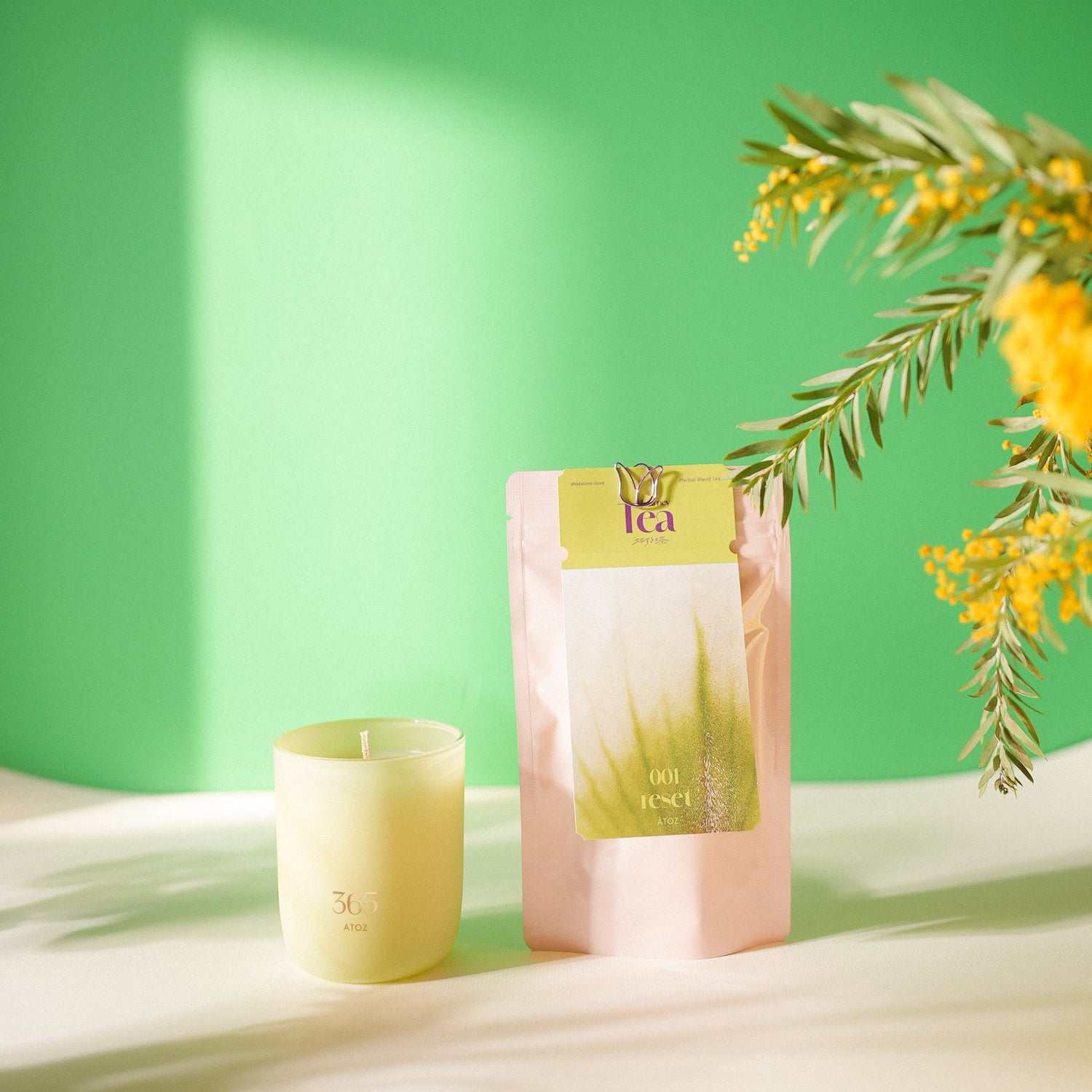 新しい流れを迎える 春のはじまりセット