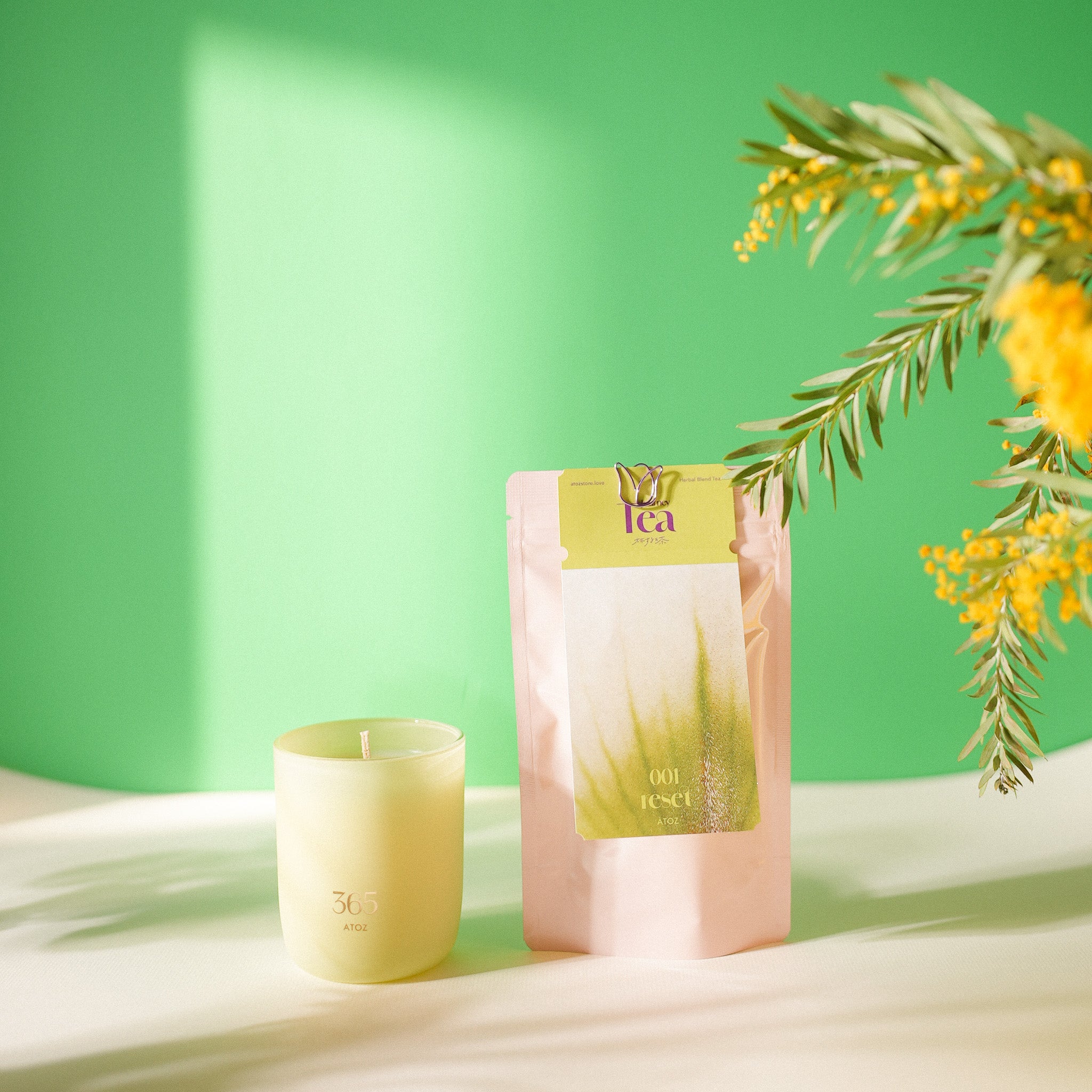 新しい流れを迎える 春のはじまりセット