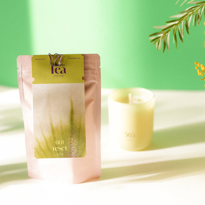 新しい流れを迎える 春のはじまりセット