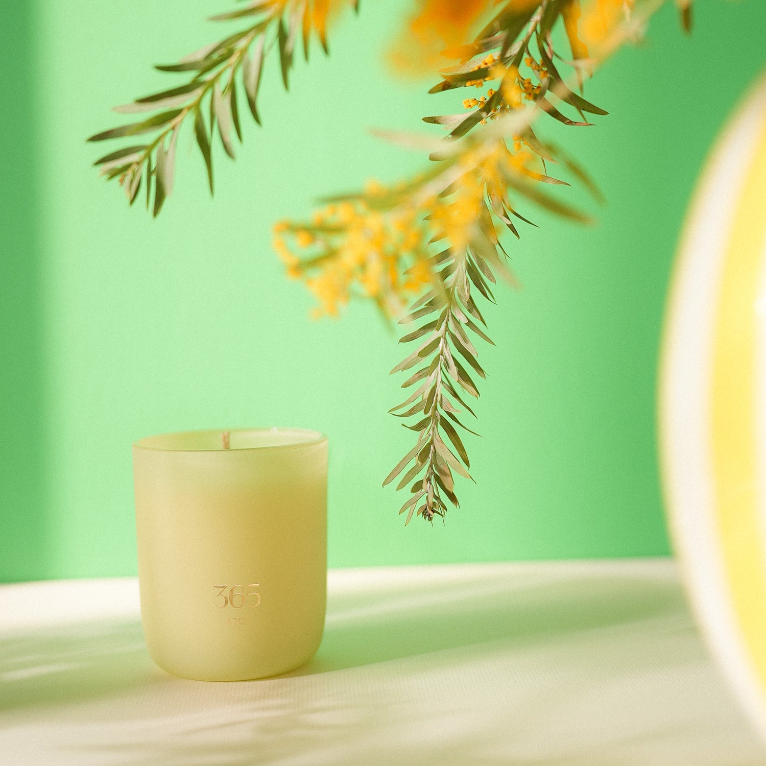 新しい流れを迎える 春のはじまりセット