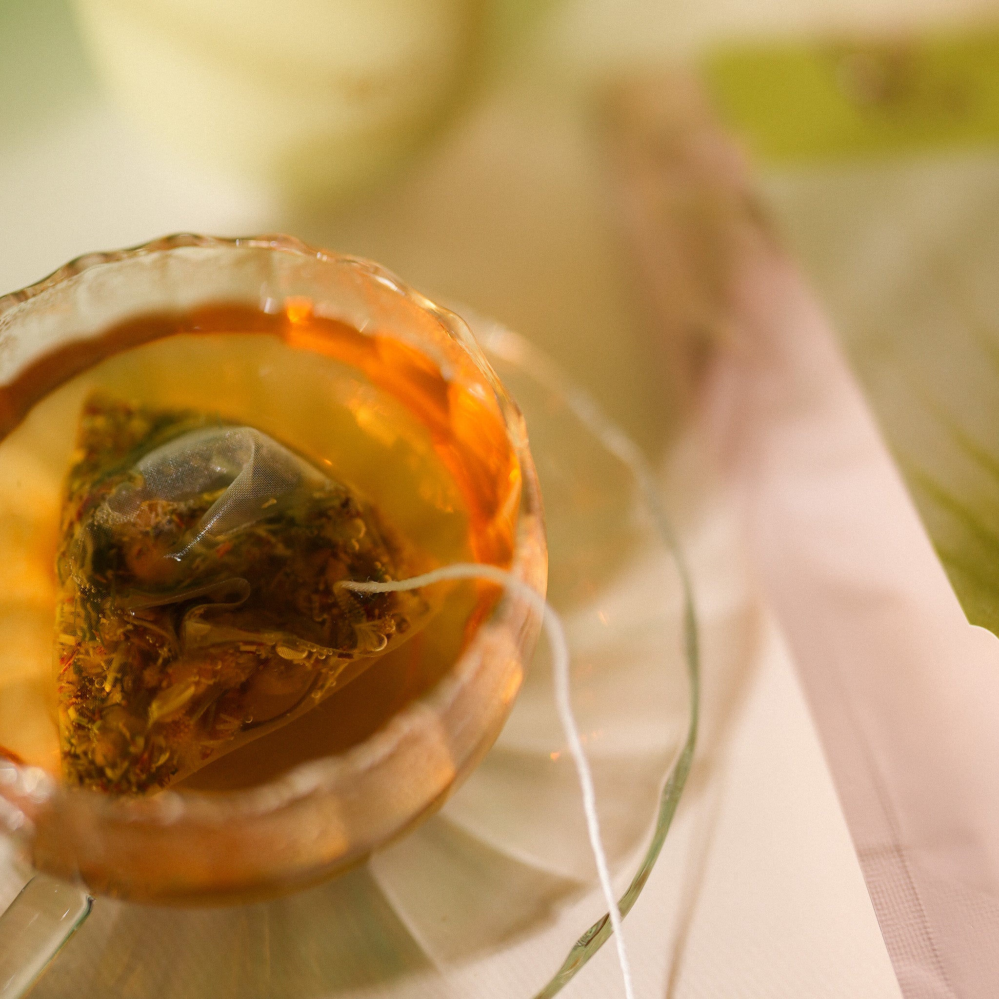 新しい流れを迎える 春のはじまりセット