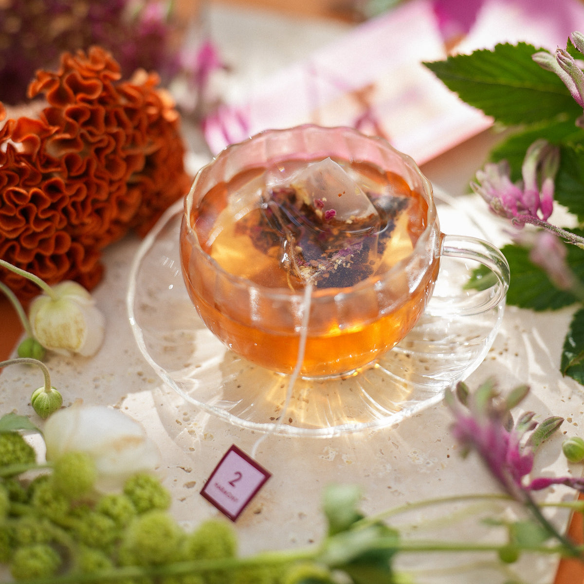旅するお茶 100 vivid