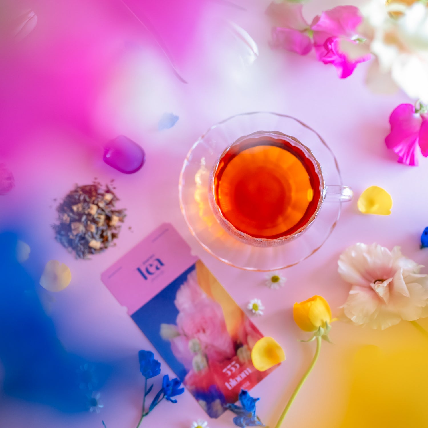 旅するお茶 333 bloom