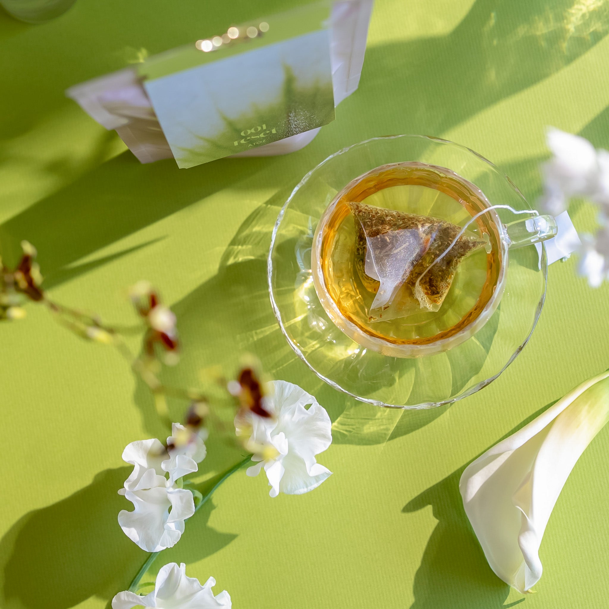 旅するお茶 001 reset