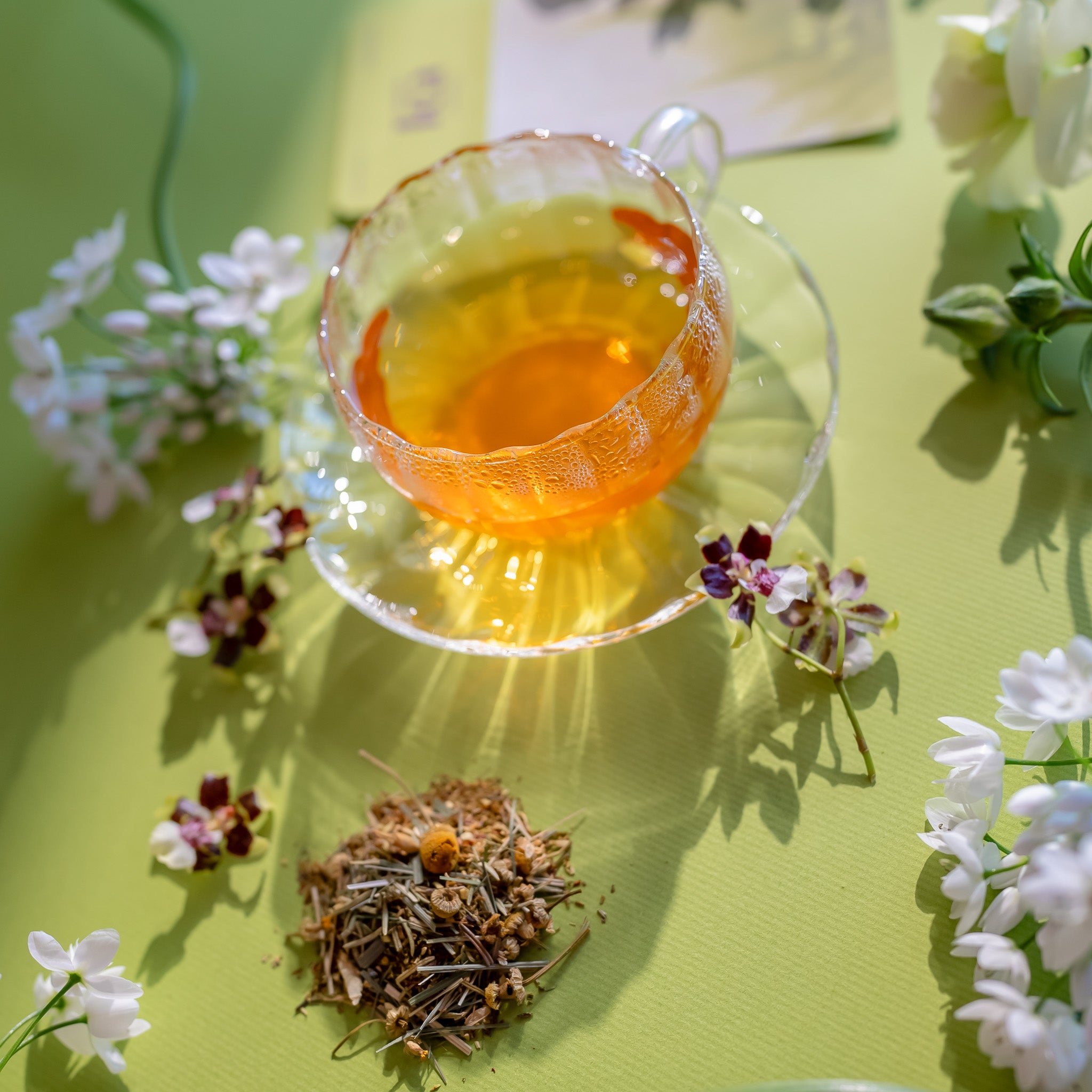 旅するお茶 001 reset