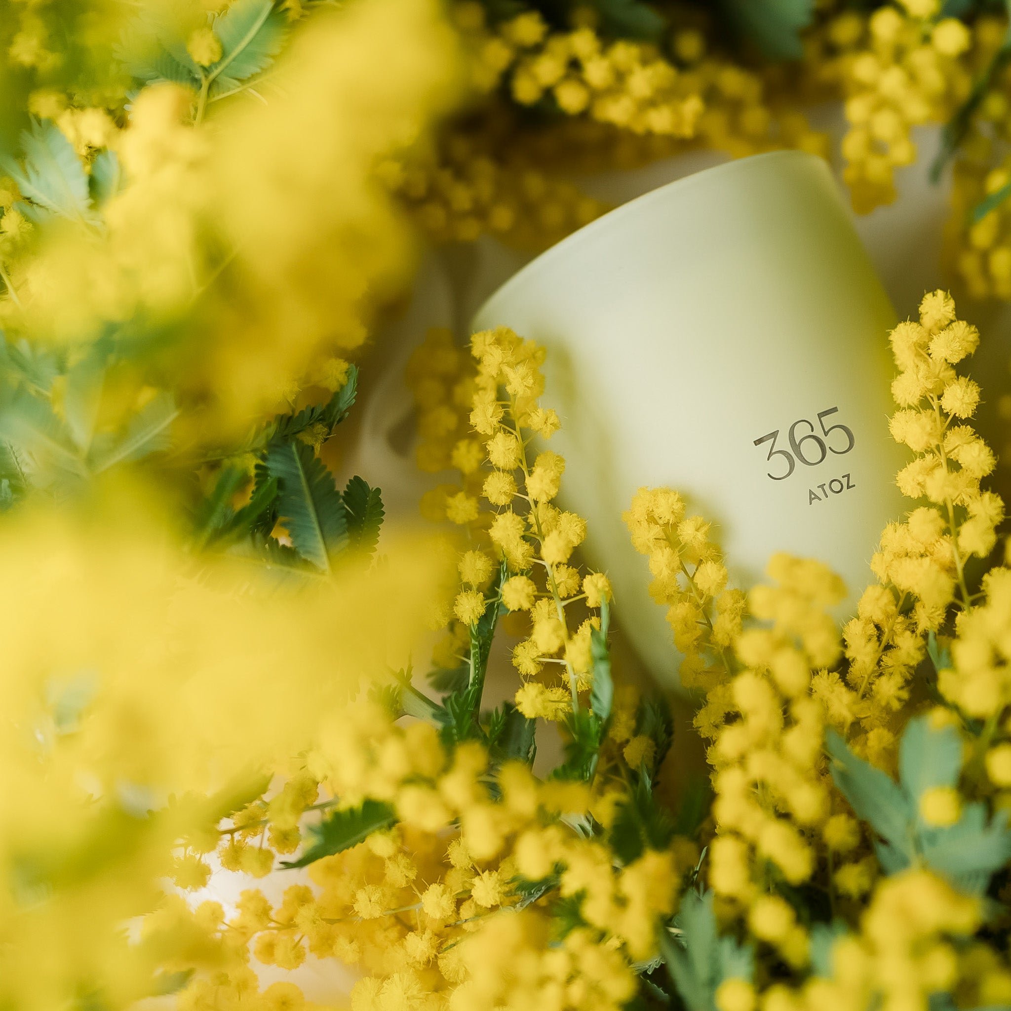 365 HOPE エナジーキャンドル – ATOZ
