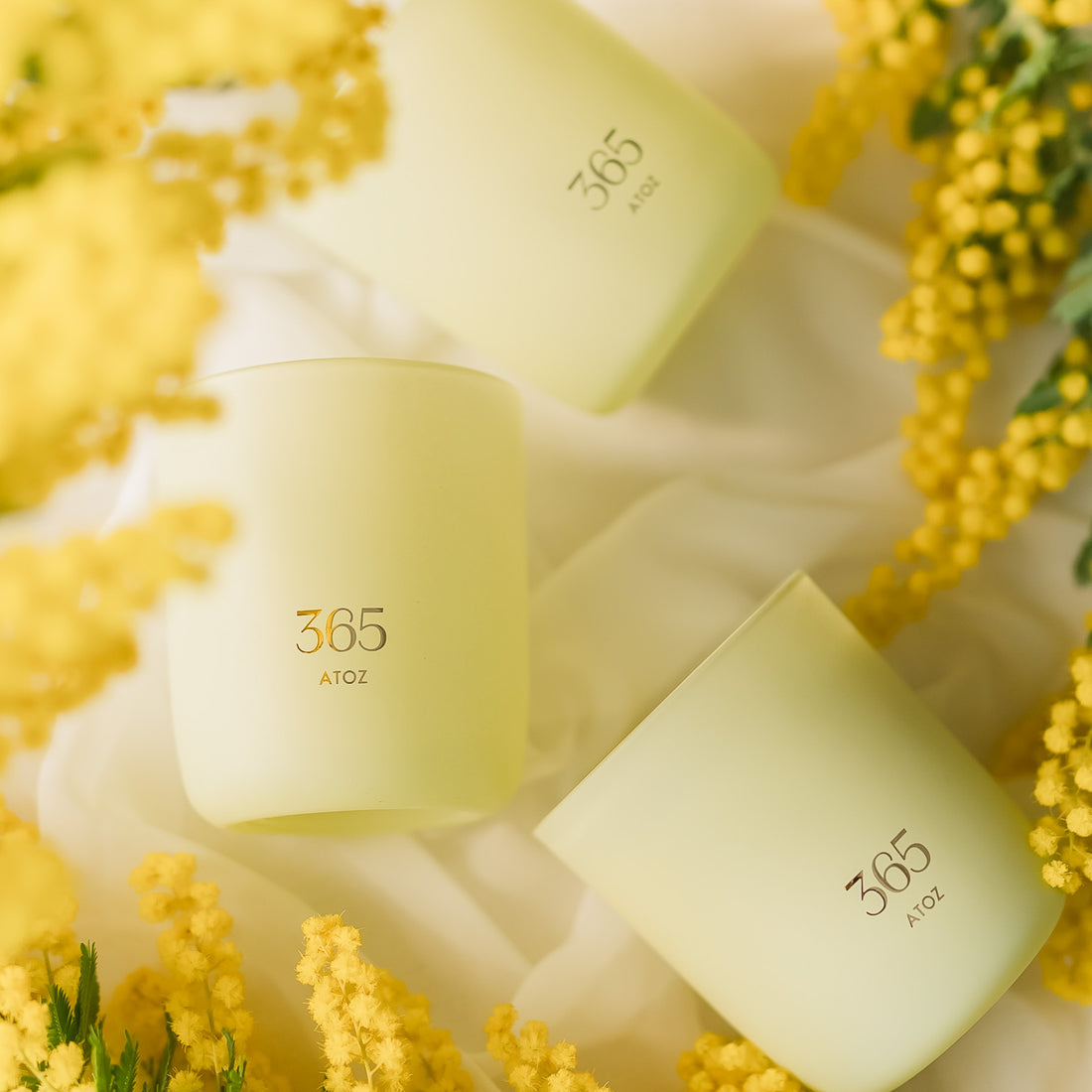 365 HOPE エナジーキャンドル