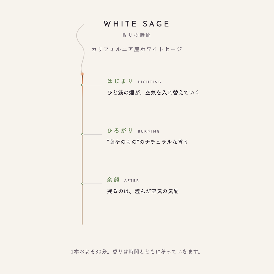 ホワイトセージ 香りの時間（はじまり・ひろがり・余韻）