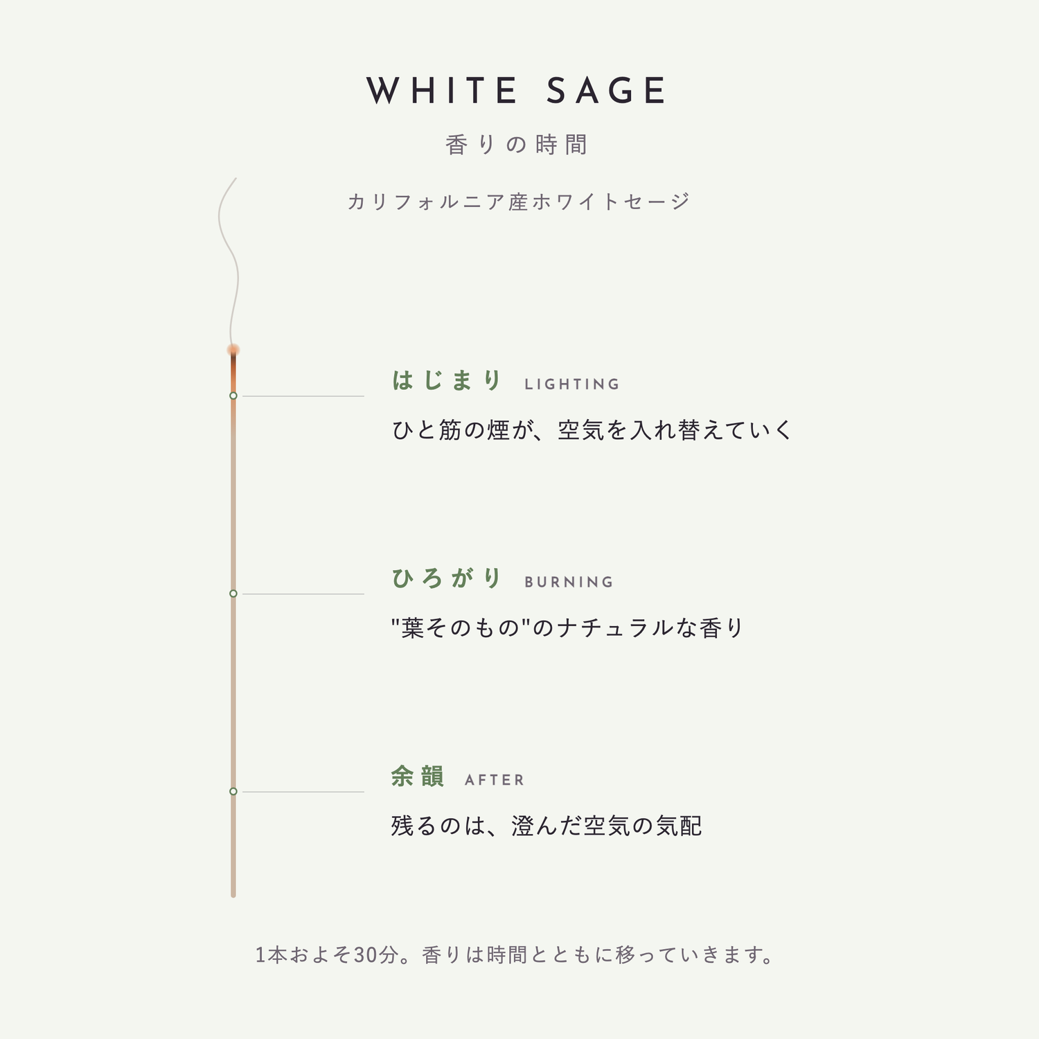 ホワイトセージ 香りの時間（はじまり・ひろがり・余韻）
